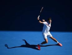 关于费德勒在TL比赛中精彩发挥，败北引发热议！的信息