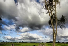 今晨意大利杯焦点战，武汉三镇完成伤情更新，赛场秩序良好，赛程密集仍需轮换的简单介绍